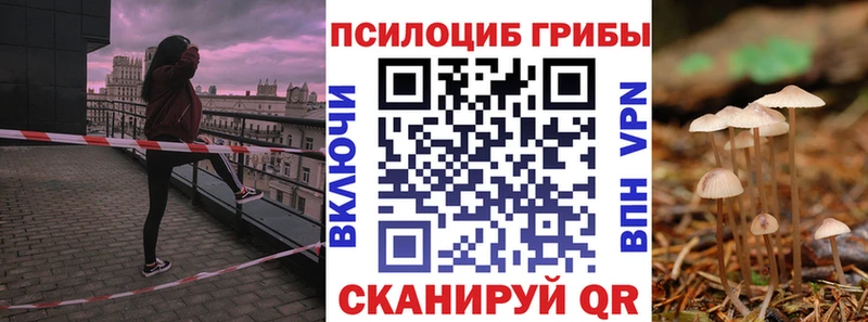 Галлюциногенные грибы мухоморы Архангельск